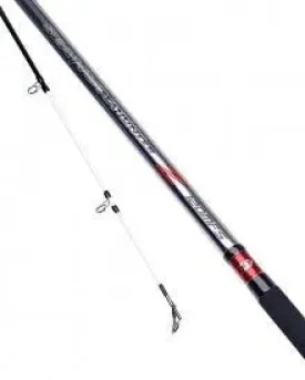 DAIWA SEAHUNTER Z Uptide 9ft 6" 4-10oz  2 Section