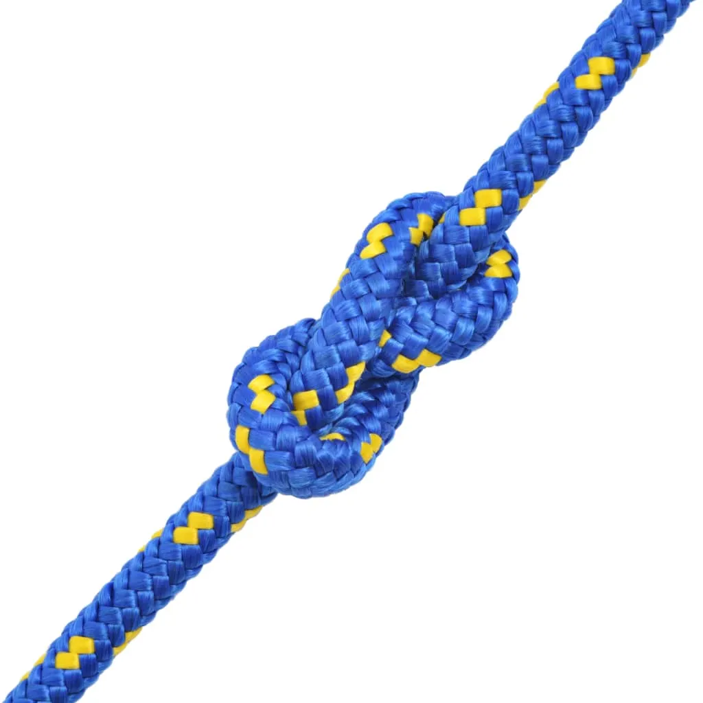 Marine Rope Polypropylene 12 mm 250 m Blue