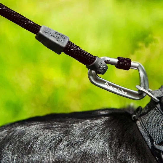 Mountain Paws Rope Dog Lead