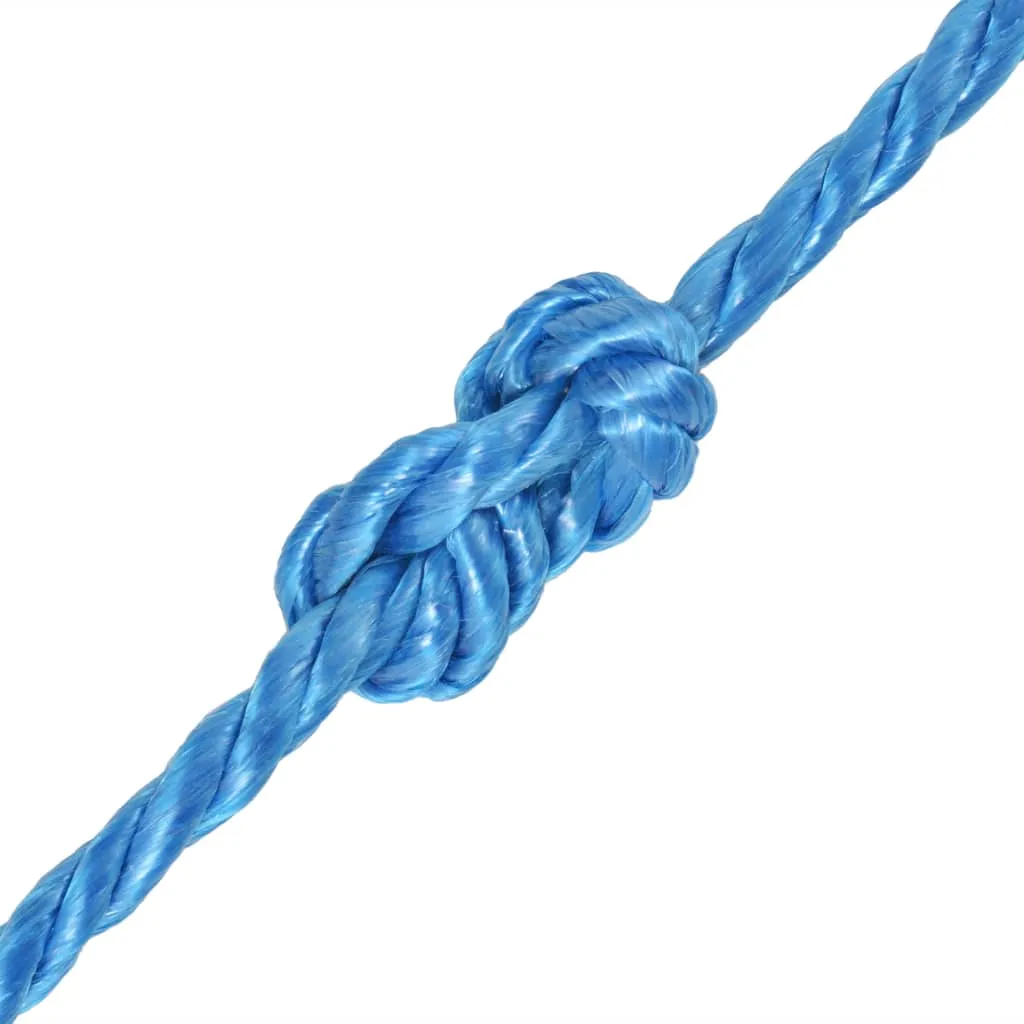 Twisted Rope Polypropylene 16 mm 100 m Blue